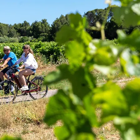 Joli Vue Mont Saint Clair, Parking, Menage Et Linge De Lit Inclus Apartment