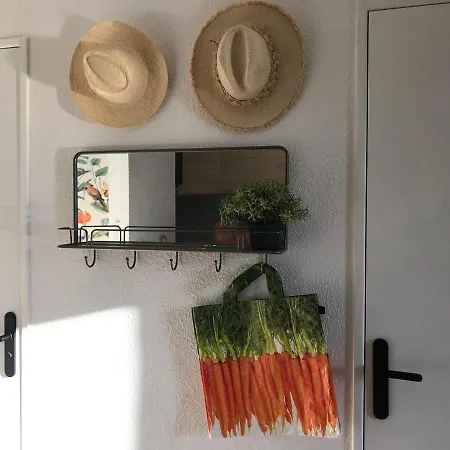 Joli Vue Mont Saint Clair, Parking, Menage Et Linge De Lit Inclus Apartmán *