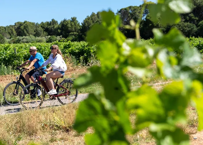 Joli Vue Mont Saint Clair, Parking, Menage Et Linge De Lit Inclus Appartement